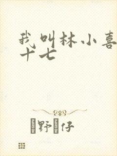 我叫林小喜今年十七