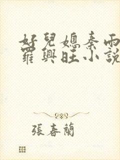 好儿媳秦雨罗明罗兴旺小说封面