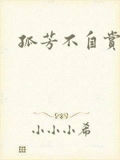 孤芳不自赏小说