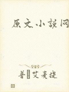 原文小说网