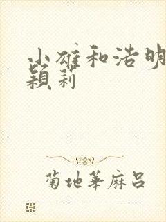 小雄和浩明夹击颖莉