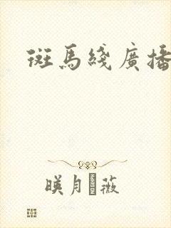 斑马线广播剧