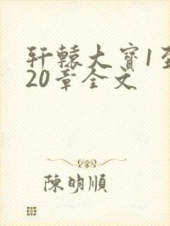 轩辕大宝1至720章全文封面