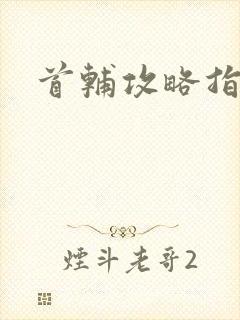 首辅攻略指南