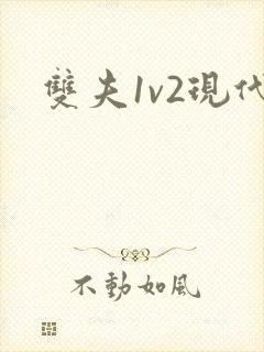 双夫1v2现代