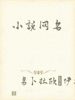 小说网名