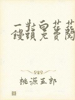 一对白花花的大馒头免费阅读
