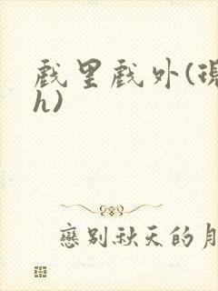 戏里戏外(现场h)