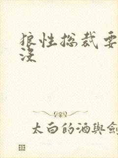 狼性总裁要够了没