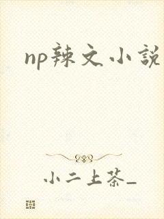 np辣文小说封面