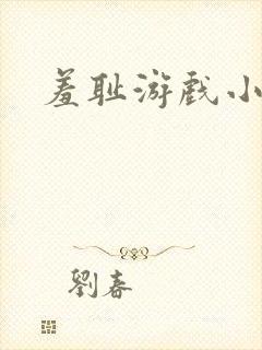 羞耻游戏小说