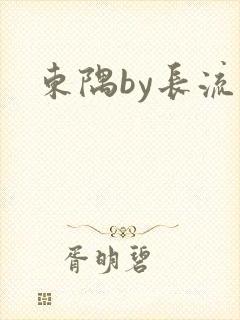 东隅by长流流封面