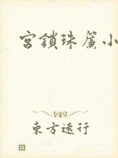 宫锁珠帘小说