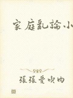 家庭乱论小说封面