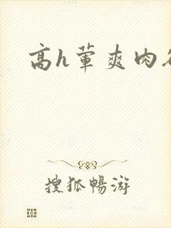 高h荤爽肉欲文