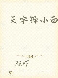 天字号小白脸封面