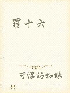 罗十六