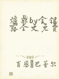 炉鼎by金银花露全文免费阅读笔趣阁