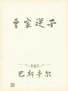 曹家逆子