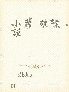 小萝 破除 小说封面