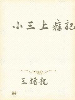 小三上瘾记
