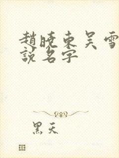 赵晓东吴雪晴小说名字
