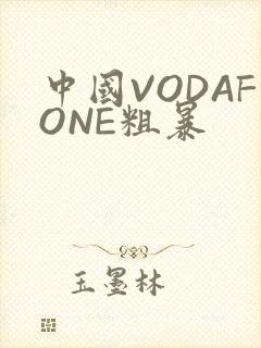 中国VODAFONE粗暴