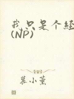 我只是个经纪人(NP)封面