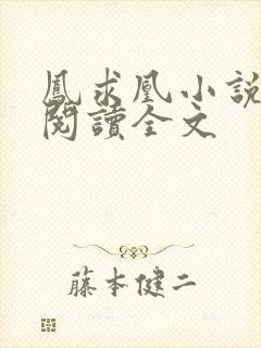 凤求凰小说免费阅读全文封面