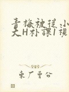 青梅被从小摸到大H补课1视频