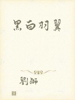 黑白羽翼
