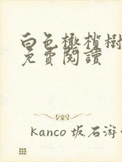 白色橄榄树全文免费阅读