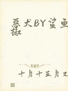 恶犬BY鲨鱼辣椒