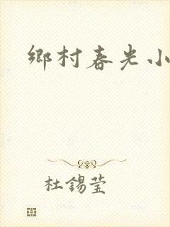 乡村春光小说封面