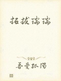 拓拔瑞瑞封面