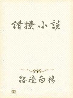 错撩小说