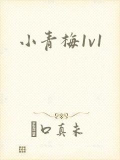 小青梅1v1