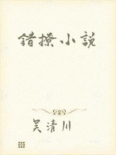 错撩小说封面