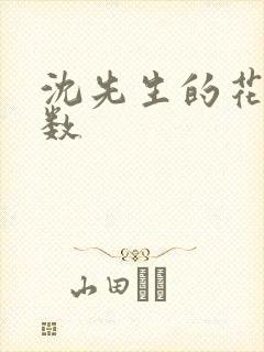 沈先生的花式调数封面
