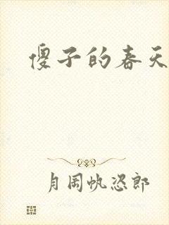 傻子的春天封面