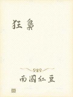 狂枭