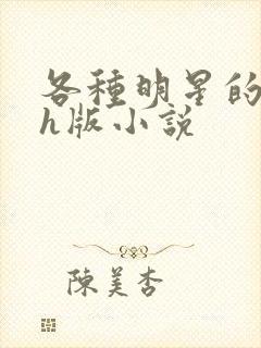 各种明星的综艺h版小说