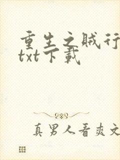 重生之贼行天下txt下载