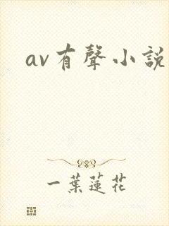 av有声小说