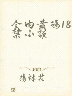 全肉黄码18无禁小说封面