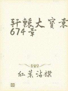 轩辕大宝袁雪妃674章封面