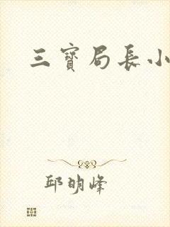三宝局长小说