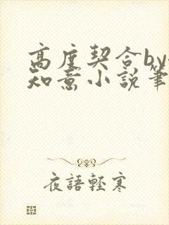 高度契合by洛知意小说笔趣阁无弹窗封面