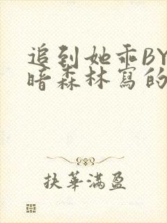 追到她乖BY黑暗森林写的小说封面