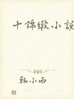 十锦缎小说